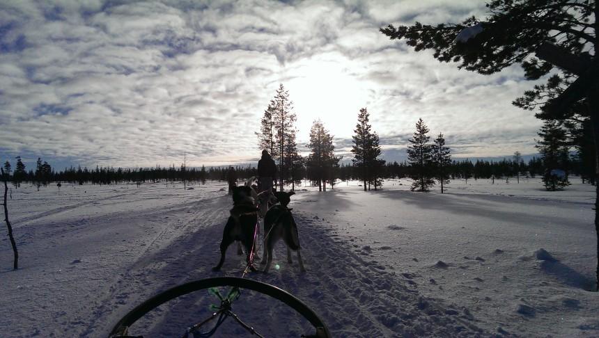 Husky ride